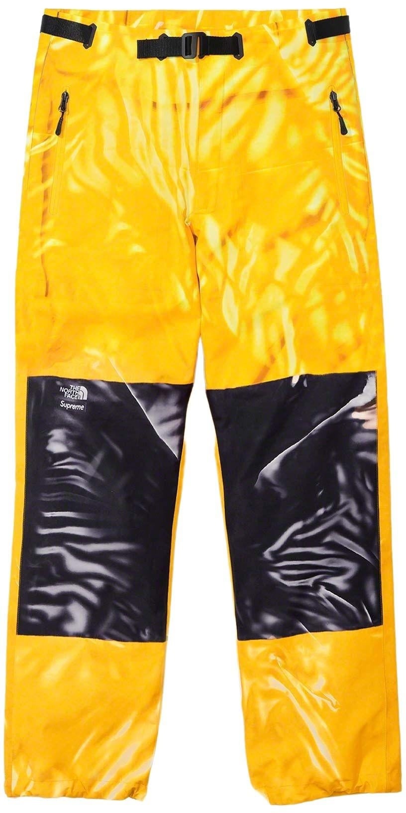 Supreme®/The North Face® Trompe L’oeil Printed Mountain Pant view 15